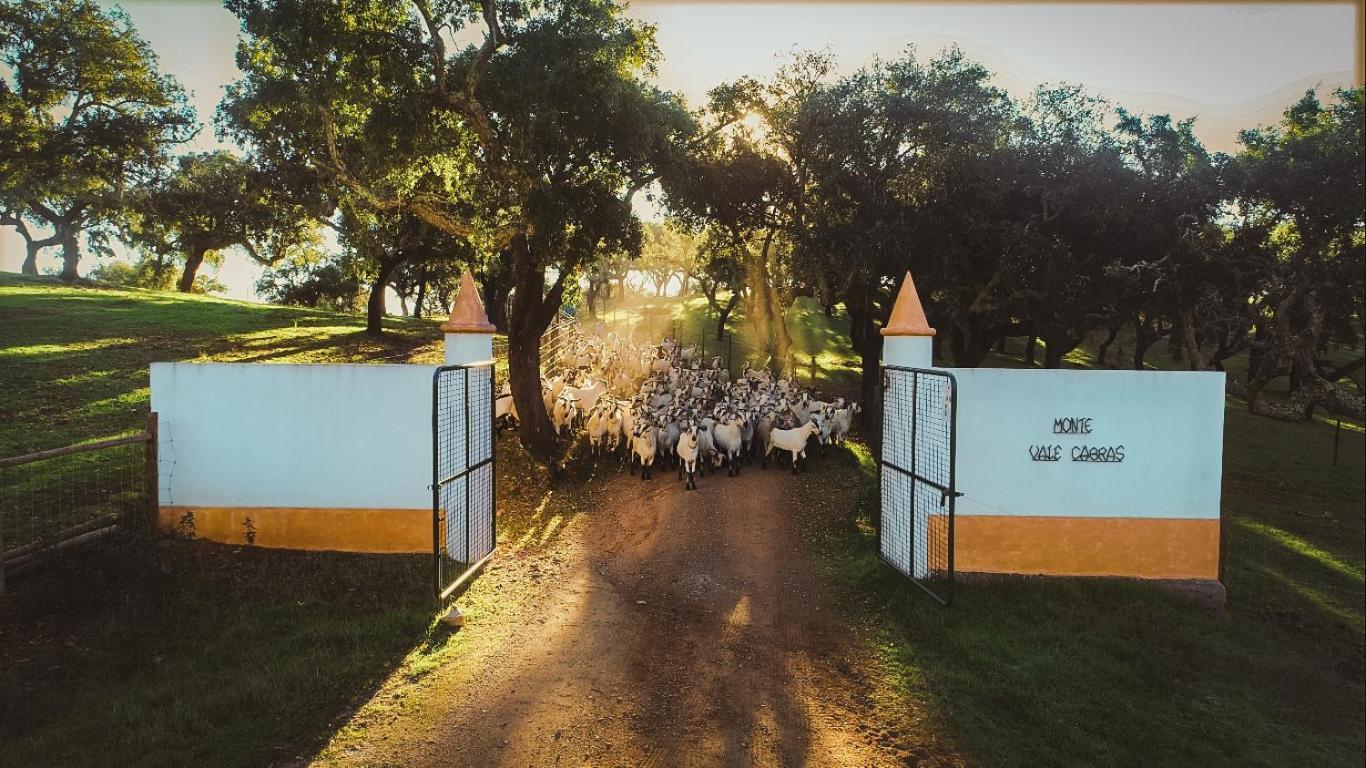 Herdade Vale De Cabras بورتيل المظهر الخارجي الصورة